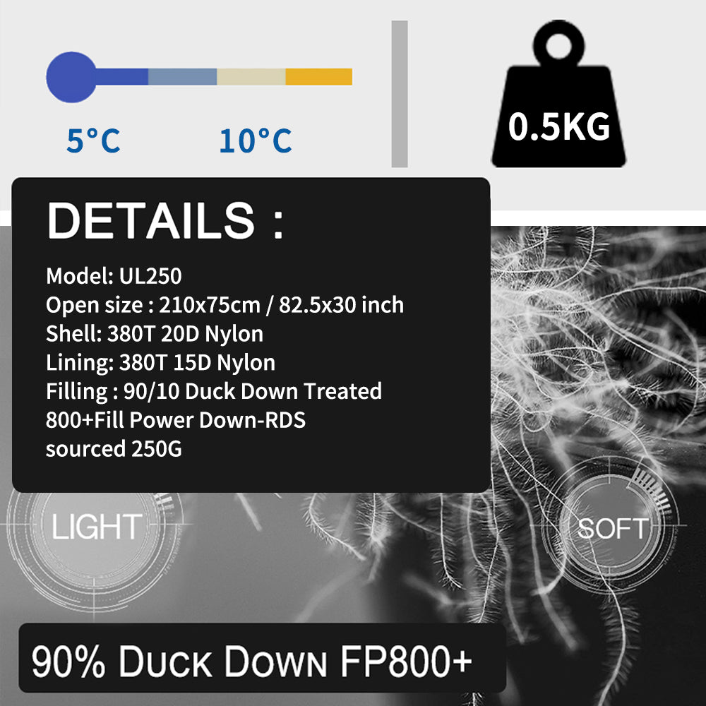1870038125545119744
